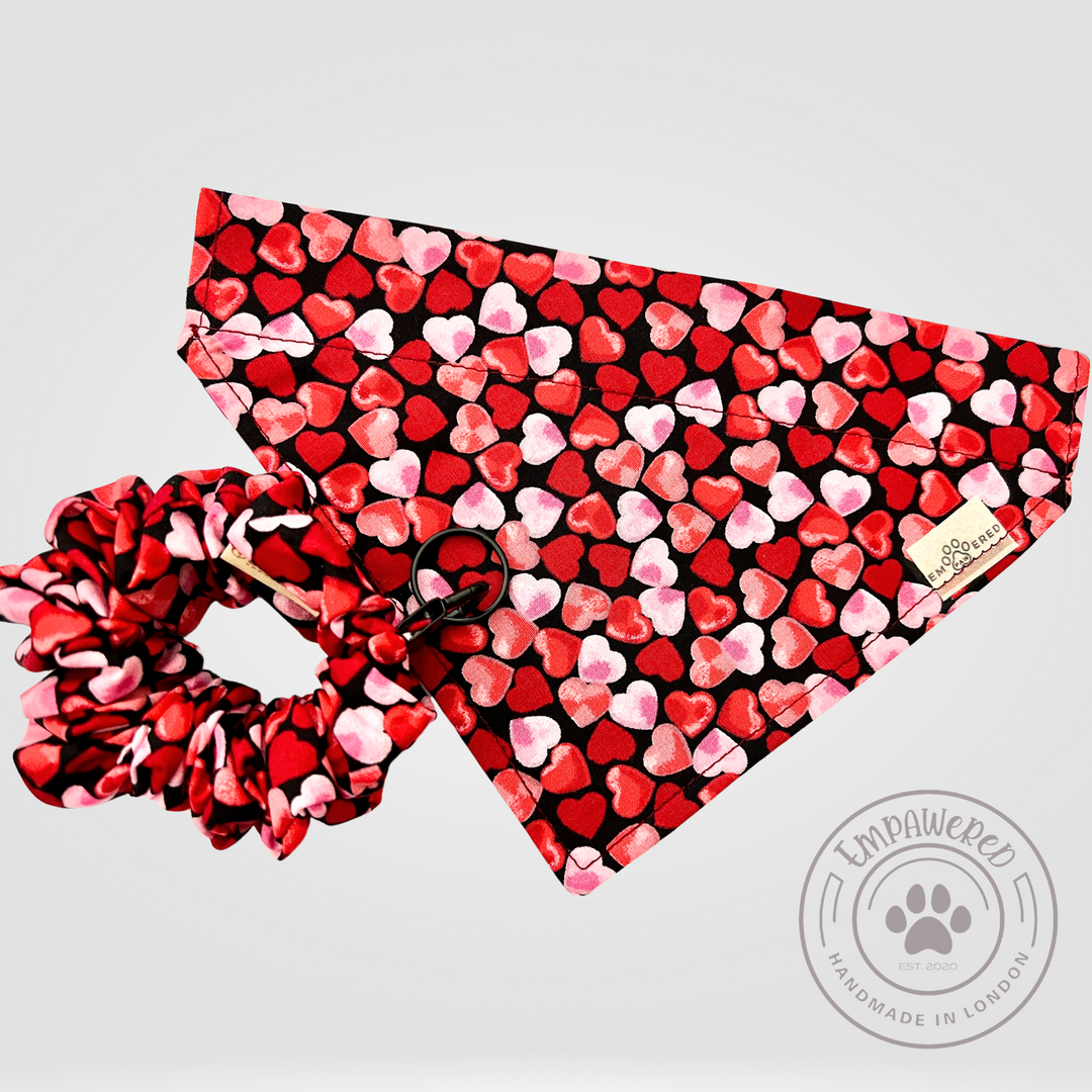 Valentines Sets for Pets Lovers - Dog/Cat Bandanas