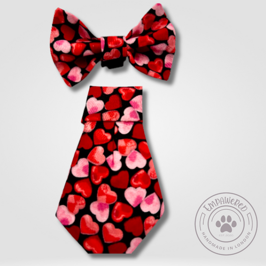 Valentines Sets for Pets Lovers - Dog/Cat Bandanas